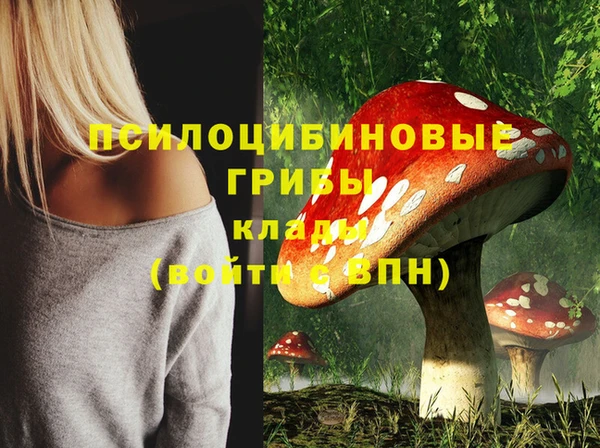 метамфетамин Богородск