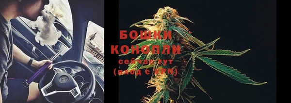 хмурый Богородицк