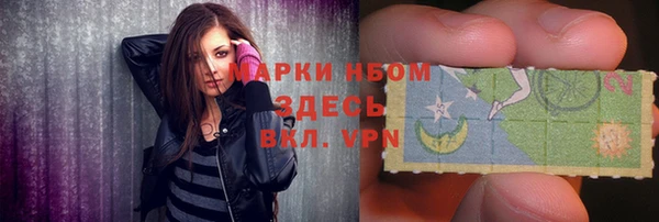 хмурый Богородицк