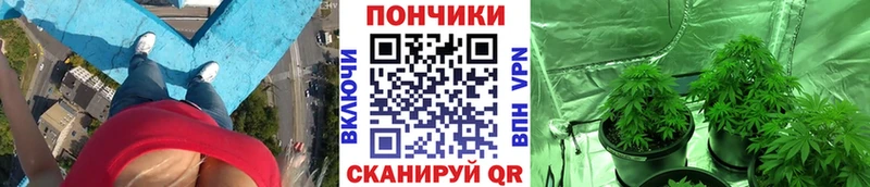Бошки Шишки конопля Купить Горбатов